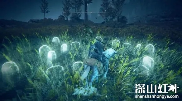 《艾尔登法环》DLC幼体泪滴攻略：高效收集秘籍大揭秘