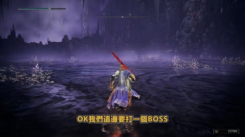 艾尔登法环DLC托莉娜暗剑获取攻略，高效秘籍大公开