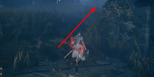 《艾尔登法环》蕾妲支线攻略：深度解析黄金树之影DLC新玩法