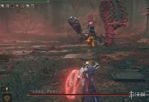 狂龙贝勒通心攻略：深度解析《艾尔登法环》黄金树之影DLC新奥秘