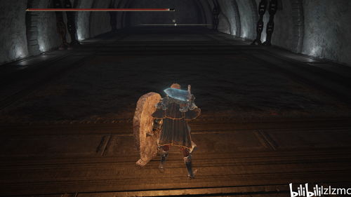 《艾尔登法环》DLC新秘宝：光明剑与黑暗剑，探寻黄金树之影的神秘传承