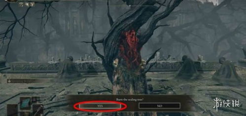 《艾尔登法环》黄金树影DLC攻略：托莉娜支线全解析，高效通关技巧揭秘