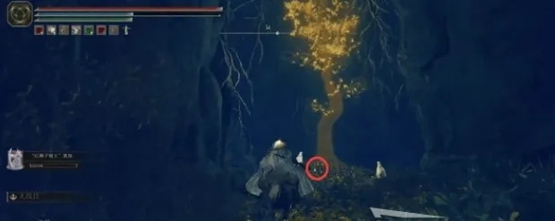 艾尔登法环DLC幽影树碎片全收集攻略，揭秘黄金树之影高效秘籍