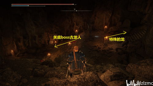 《艾尔登法环》黄金树幽影DLC深度探秘：全图攻略解析新视角