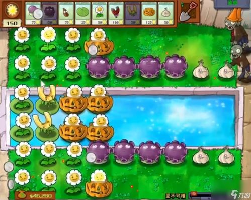 《植物大战僵尸杂交版》金币快速获取攻略，新技巧助你轻松翻倍收益