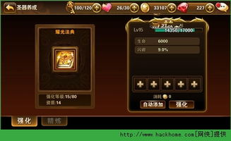 《塔瑞斯圣骑秘技精解：高效输出攻略全解析》