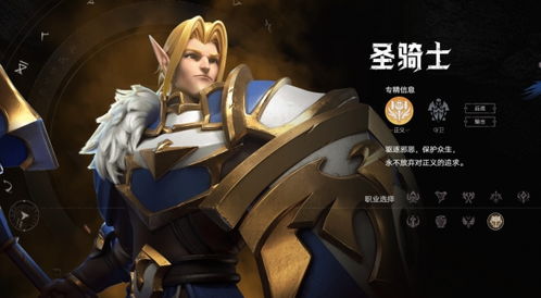 《塔瑞斯世界》圣骑士输出流攻略：揭秘高效战斗技巧