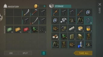 狂人2装备攻略：深度解析，狂暴之力新升级