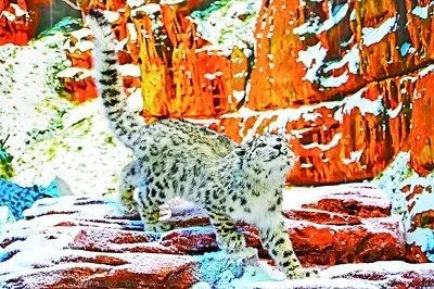 《山王雪豹技能蜕变揭秘，麦芬出发新篇章》