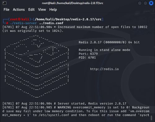 《鸣潮》白芷C位输出攻略：深度解析全新技巧解锁