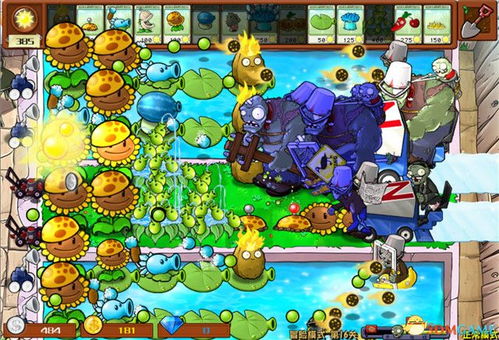 植物杂交新攻略，挑战2.088版通关秘籍大揭秘