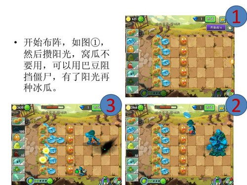 冰瓜猫攻略：植物杂交新玩法深度解析