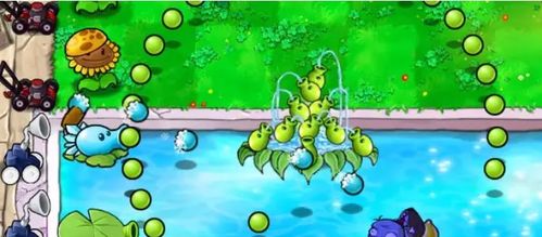 《植物大战僵尸杂交版》轻松调高挑战度攻略揭秘