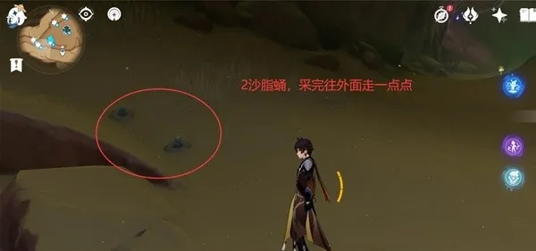 《原神》沙脂蛹获取攻略：高效收集路线解析，探索新玩法！