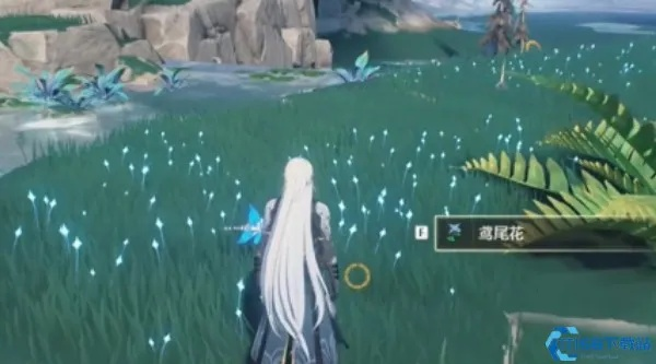 《鸣潮》探秘：高效鸢尾花采集攻略，轻松升级新捷径