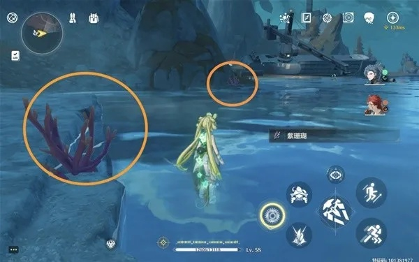 《鸣潮》紫珊瑚高效采集攻略，揭秘宝藏获取新路径