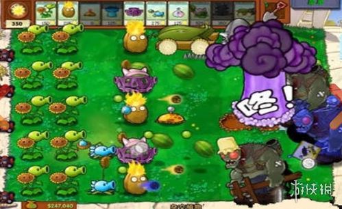 幸运阵容攻略：揭秘《植物大战僵尸杂交版》无尽胜利秘籍