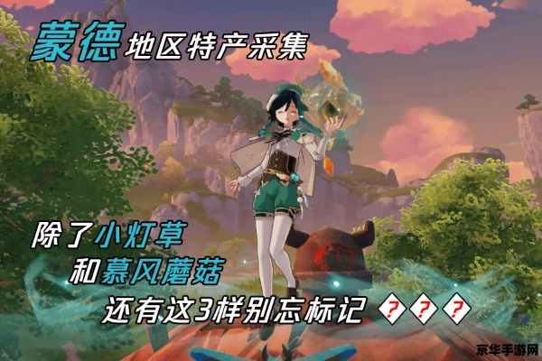 蒙德特产速刷攻略：小灯草高效采集新技巧