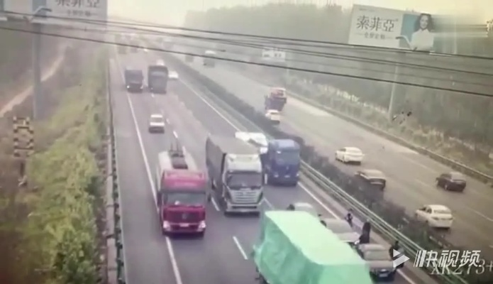 熊影惊魂！日本车主亲历高速遇熊瞬间，压迫感直击心弦