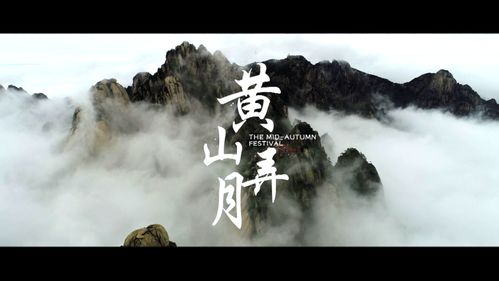 《鸣潮》观景点全搜集攻略：揭秘绝美视野隐藏秘境