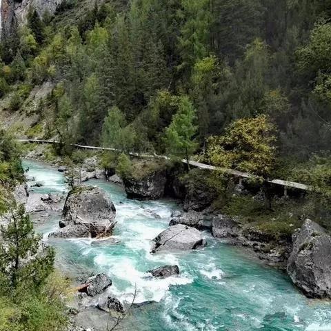 《怪物猎人荒野》前瞻PV首曝，5月31日揭秘新狩猎秘境！