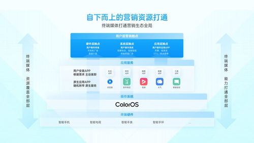 金阳凤高效采集攻略，解锁全新资源价值