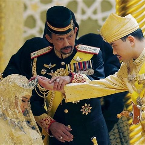 《鸣潮》珍珠草高效采集攻略，解锁神秘资源新途径