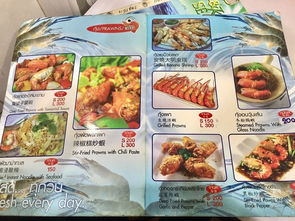 《鸣潮》独家配方揭秘：轻松获取卤汁秘籍！