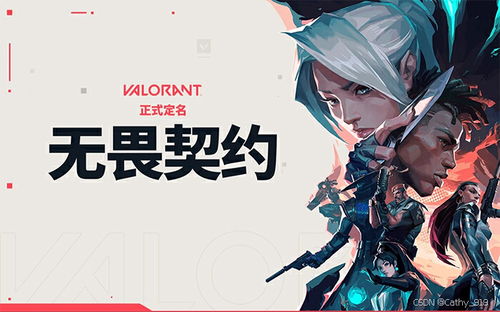 《无畏契约》国服源能者娱乐套装电玩版价格揭秘，性价比解析！