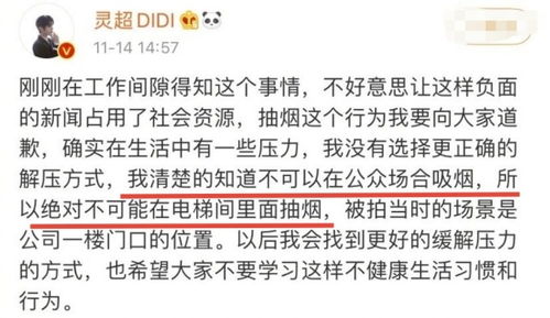 《鸣潮》残星门徒高效攻略：逃课打法全解析，轻松通关！