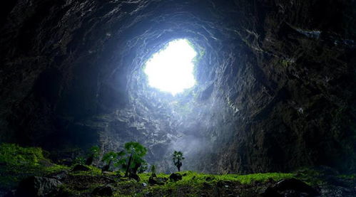 无明湾荒弃岩壑传送点解锁攻略，探秘《鸣潮》新价值点