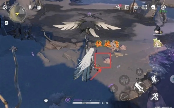 《鸣潮》探秘：地涌莲高效采集攻略，解锁全新收益技巧