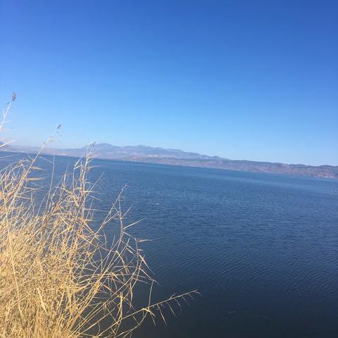 《鸣潮》湮灭漂泊者攻略：深度解析，高效通关新秘籍