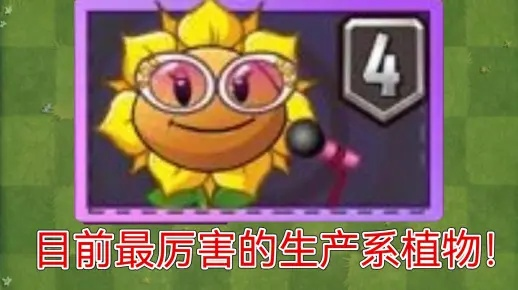 向日葵女王能量爆发，全新植物战力升级
