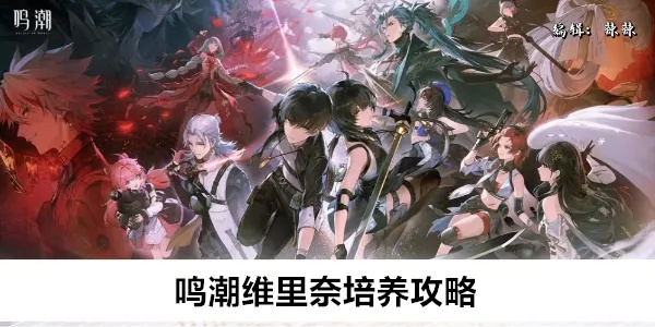 维里奈养成攻略：深度解析鸣潮女神培养新秘籍