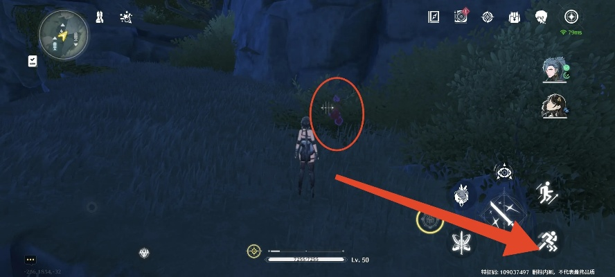 《鸣潮》高效路线揭秘：灯笼果采集攻略新视角