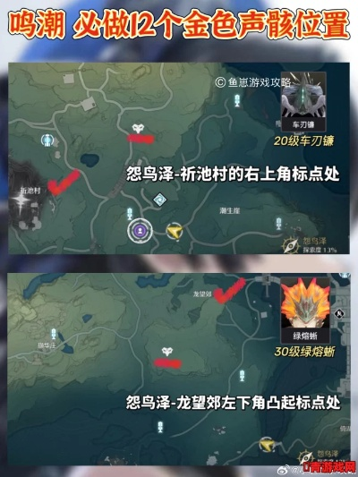 《鸣潮》鱼肉高效获取攻略，揭秘全新获取点位技巧