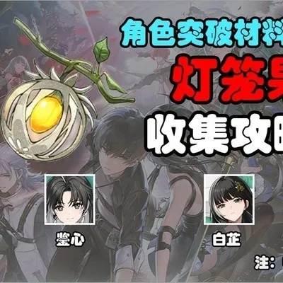 《鸣潮》领跑攻略：高效灯笼果采集新技巧揭秘