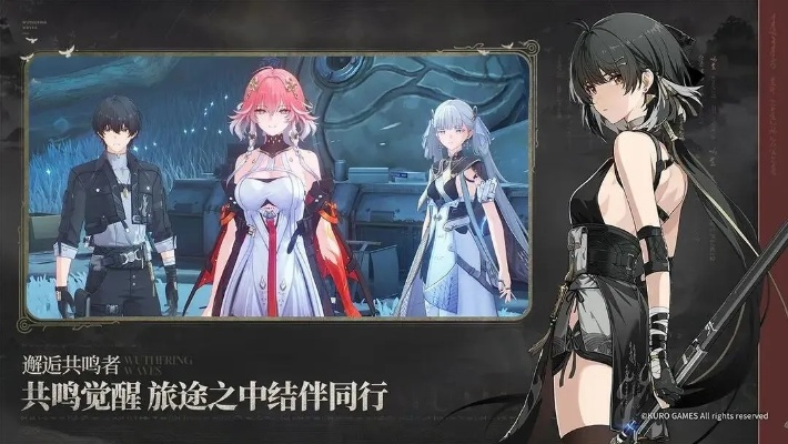 《鸣潮》五星自选角色攻略：打造最强阵容秘籍大公开