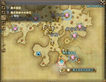 云陵谷宝箱速寻攻略，高效收集新体验