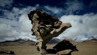 荒石高地全探索秘境，鸣潮新地标一网打尽
