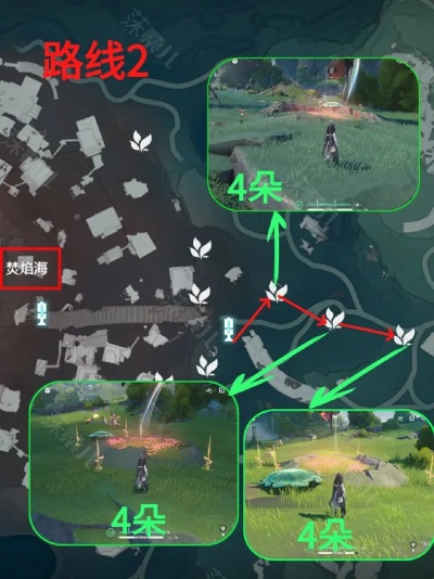 《鸣潮》妙弋花高效采集攻略，掌握最佳路线！