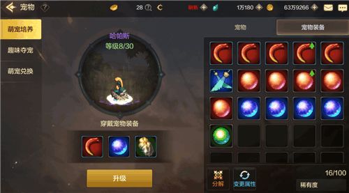 DNF手游宠物养成攻略：解锁全新宠物玩法技巧