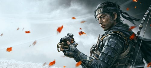 《对马岛之魂》导演剪辑版新手攻略：深度解析高效生存技巧