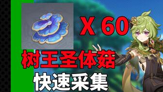 《原神》树王圣体菇攻略：高效获取秘法解析