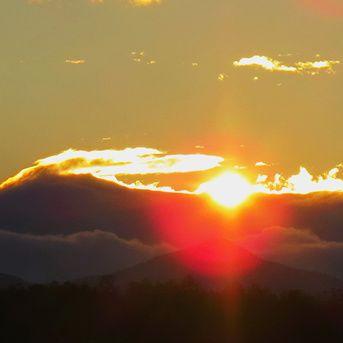 《动物井》真结局攻略：揭秘全新价值解锁方法