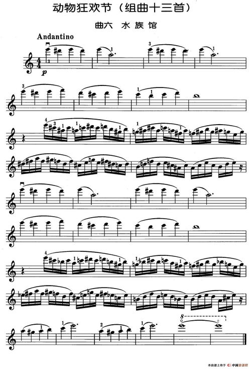 《动物井》曲谱揭秘：创新演绎新价值