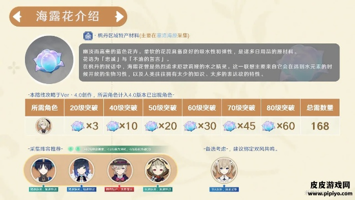 《原神》海露花采集攻略：一网打尽位置解析秘籍