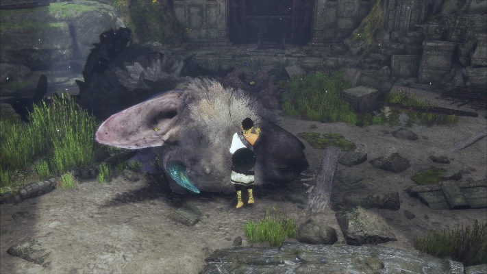 《最后的守护者》Steam EA版好评如潮，创新体验引领潮流