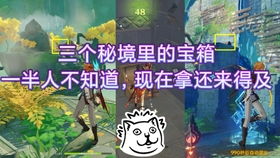 《原神》百万奇饰大搜罗，揭秘带绿叶提瓦特物产满奖励攻略秘境